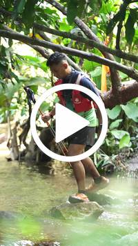 BIB:  <button type="button" onclick="openModal(27484106)" class="btn btn-primary btn-sm float-right" data-toggle="modal" data-target=".modal-high-quality">
                <i class="fa fa-download"></i> Download
                </button>